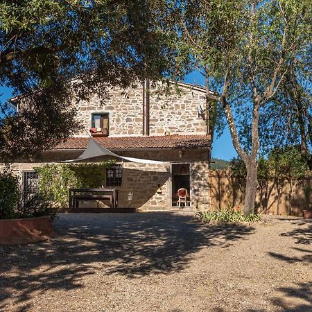 Poggio Al Mandorlo Villa Greve in Chianti Exteriör bild